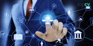 HR Admin là gì? Mức lương và lộ trình nghề nghiệp HR Admin là gì