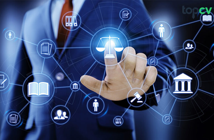 HR Admin là gì? Mức lương và lộ trình nghề nghiệp HR Admin là gì