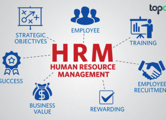 HRM là gì? Vai trò của HRM trong doanh nghiệp HRM là gì