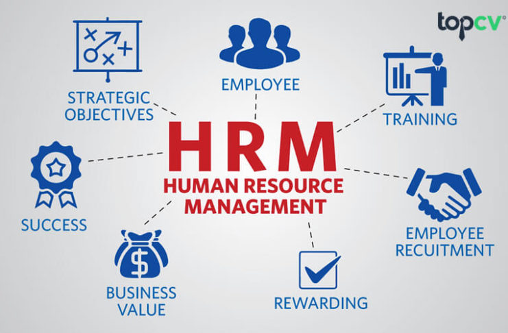HRM là gì? Vai trò của HRM trong doanh nghiệp HRM là gì
