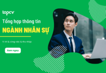 Ngành nhân sự gồm những mảng nào? Thu nhập ra sao? nganh-nhan-su-la-gi