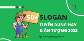 50+ Slogan tuyển dụng hay mà HR không nên bỏ lỡ slogan-tuyen-dung-hay-va-an-tuong-1
