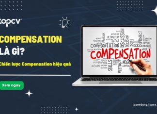 Compensation là gì? Đâu là chìa khóa vàng cho một chiến lược compensation hiệu quả compensation là gì