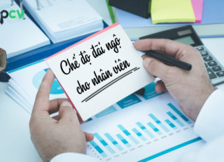 Tổng hợp 9 chế độ đãi ngộ cho nhân viên là xu hướng thời đại mới che-do-dai-ngo-cho-nhan-vien-topcv