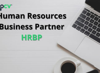HRBP là gì? Sự khác nhau giữa vị trí HR truyền thống và HRBP hrbp-la-gi-topcv