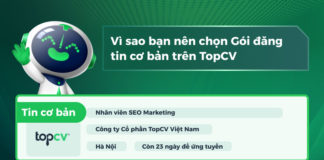 Giải đáp: Vì sao bạn nên chọn Gói đăng tin cơ bản trên TopCV? dich-vu-goi-tin-dang-co-ban-topcv-1