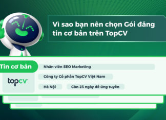 Giải đáp: Vì sao bạn nên chọn Gói đăng tin cơ bản trên TopCV? dich-vu-goi-tin-dang-co-ban-topcv-1