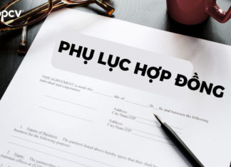Phụ lục hợp đồng là gì? Trọn bộ mẫu phụ lục hợp đồng mới nhất Phụ lục hợp đồng là gì? Trọn bộ mẫu phụ lục hợp đồng mới nhất