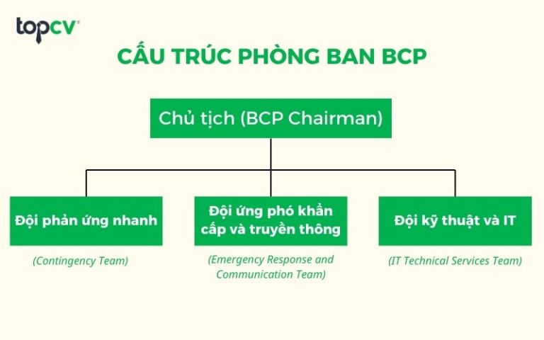 BCP là gì? Tất tần tật thông tin về BCP từ A - Z