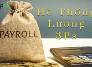 Lương 3P là gì? Quy trình triển khai phương pháp lương 3P Lương 3P là gì