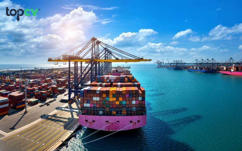 Ngành Supply Chain có vai trò quan trọng với các doanh nghiệp sản xuất 